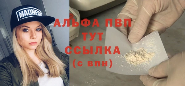 хмурый Аркадак