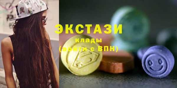 хмурый Аркадак