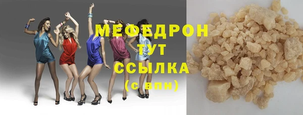 хмурый Аркадак