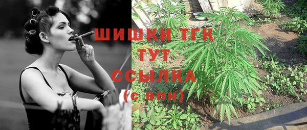 хмурый Аркадак