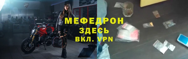 хмурый Аркадак