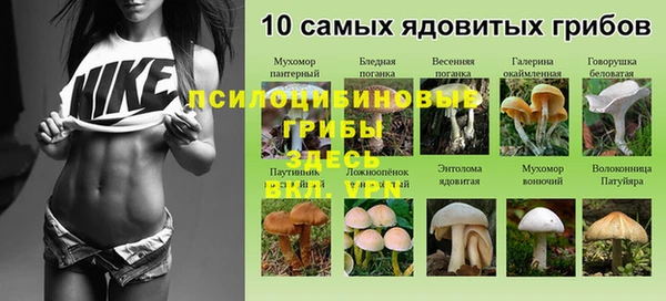 мет Армянск