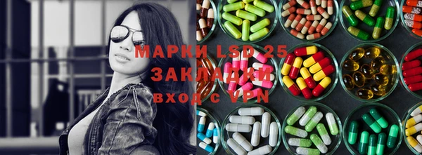хмурый Аркадак