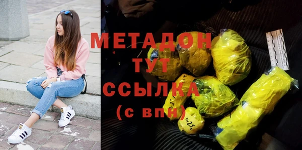 хмурый Аркадак