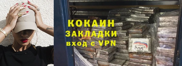 хмурый Аркадак