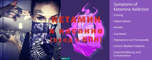 хмурый Аркадак