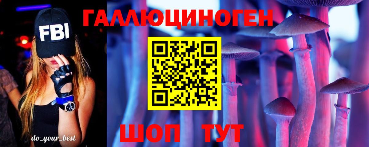 Псилоцибиновые грибы Psilocybe  Вход с VPN  Псилоцибиновые грибы Psilocybine cubensis  Унеча 