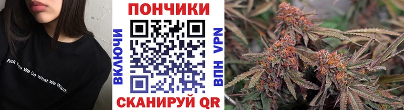 Каннабис OG Kush Унеча